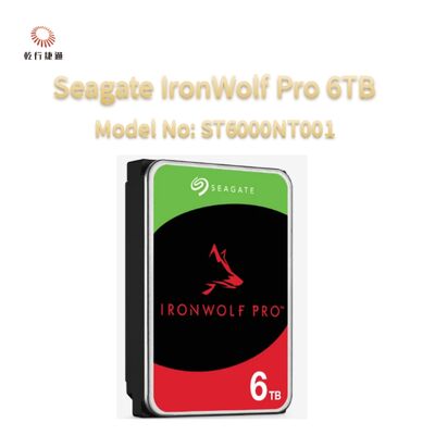 Seagate Ironwolf Pro 6TB 모델 번호: ST6000NT001